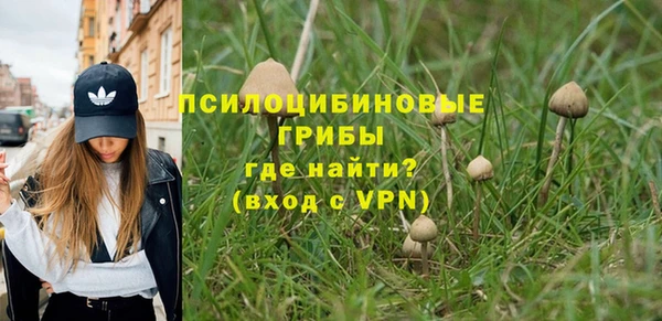 гидра Балахна